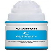 Canon -CCAN-GI290K_1
