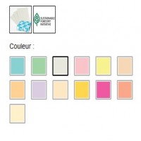 Colour and Multipurpose Paper_4